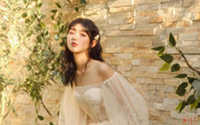 性感仙气纱裙美女朦胧唯美梦幻写真(9)