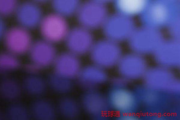 bet365輪盤規則與下注策略